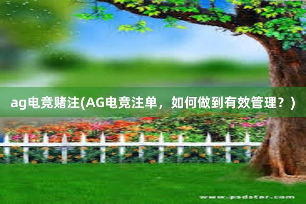 ag电竞赌注(AG电竞注单，如何做到有效管理？)