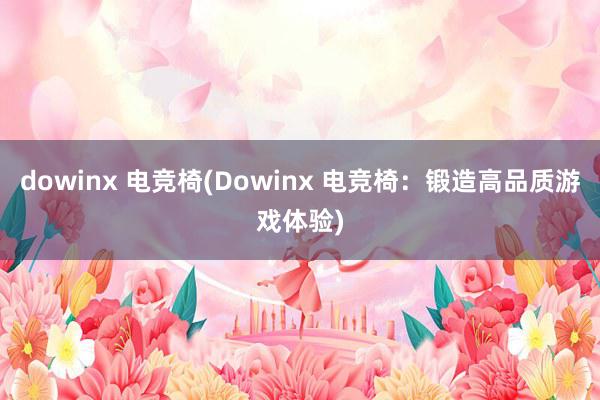 dowinx 电竞椅(Dowinx 电竞椅：锻造高品质游戏体验)