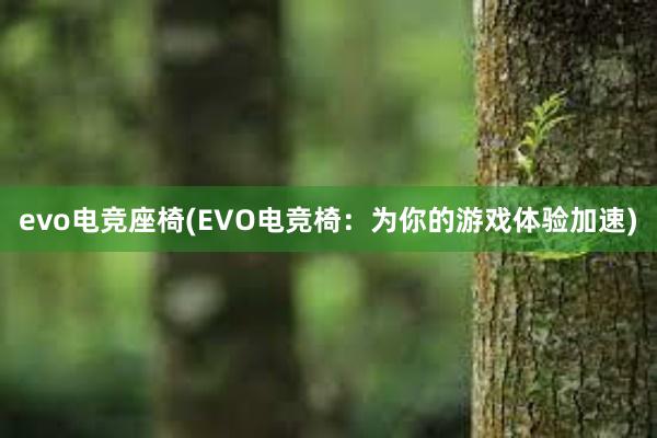 evo电竞座椅(EVO电竞椅：为你的游戏体验加速)