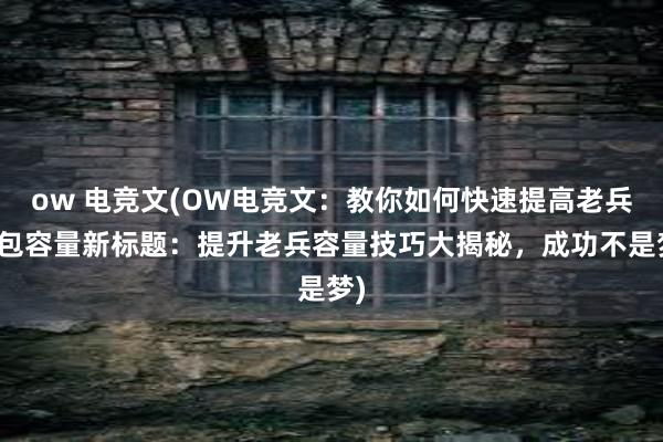 ow 电竞文(OW电竞文：教你如何快速提高老兵背包容量新标题：提升老兵容量技巧大揭秘，成功不是梦)