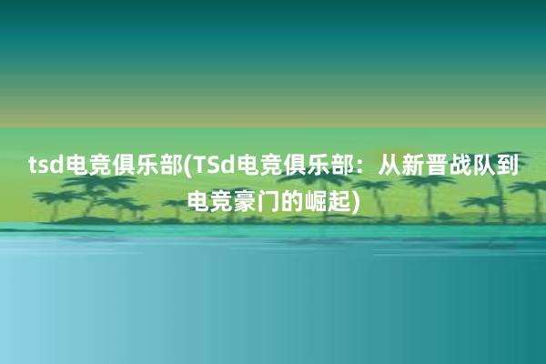 tsd电竞俱乐部(TSd电竞俱乐部：从新晋战队到电竞豪门的崛起)