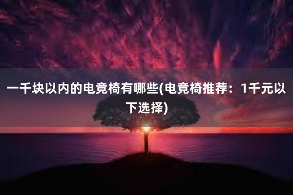 一千块以内的电竞椅有哪些(电竞椅推荐：1千元以下选择)