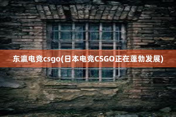 东瀛电竞csgo(日本电竞CSGO正在蓬勃发展)