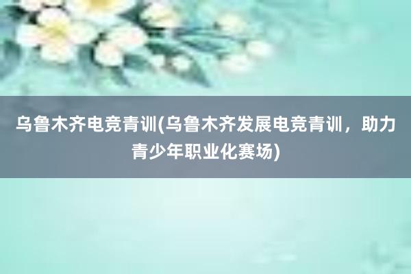 乌鲁木齐电竞青训(乌鲁木齐发展电竞青训，助力青少年职业化赛场)