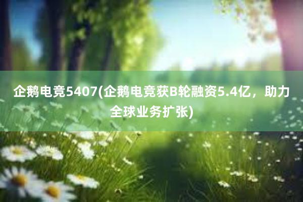 企鹅电竞5407(企鹅电竞获B轮融资5.4亿，助力全球业务扩张)