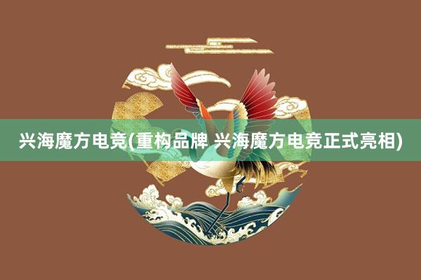 兴海魔方电竞(重构品牌 兴海魔方电竞正式亮相)