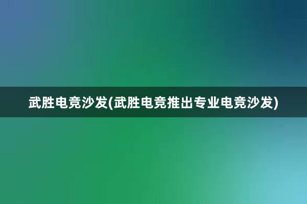 武胜电竞沙发(武胜电竞推出专业电竞沙发)