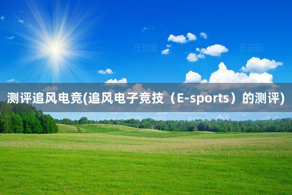 测评追风电竞(追风电子竞技（E-sports）的测评)