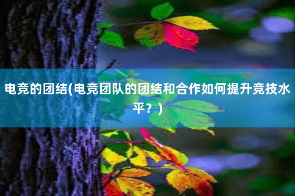 电竞的团结(电竞团队的团结和合作如何提升竞技水平？)