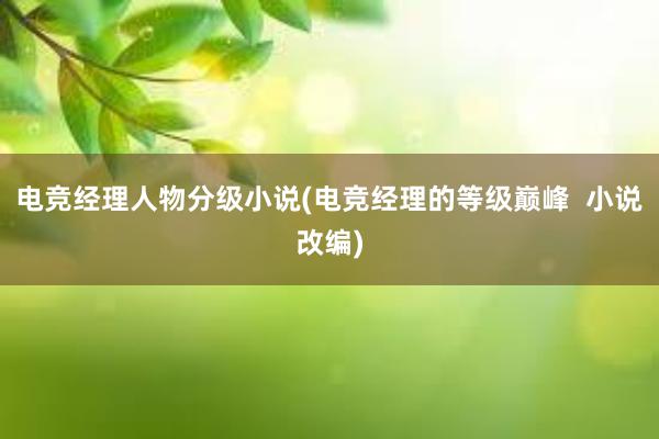 电竞经理人物分级小说(电竞经理的等级巅峰  小说改编)