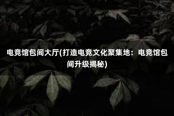 电竞馆包间大厅(打造电竞文化聚集地：电竞馆包间升级揭秘)