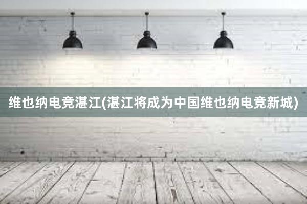 维也纳电竞湛江(湛江将成为中国维也纳电竞新城)