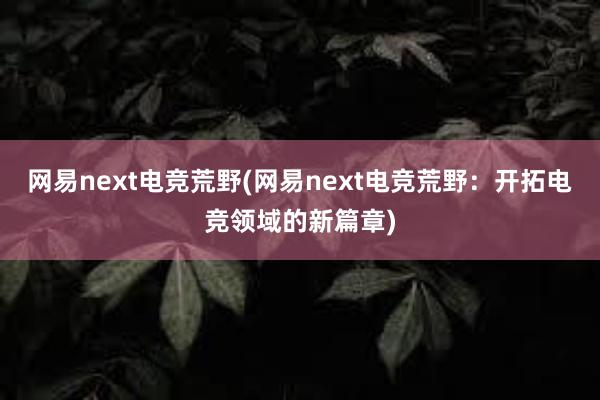 网易next电竞荒野(网易next电竞荒野：开拓电竞领域的新篇章)