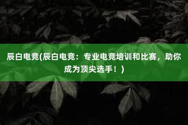 辰白电竞(辰白电竞：专业电竞培训和比赛，助你成为顶尖选手！)