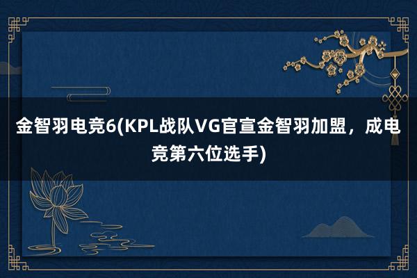 金智羽电竞6(KPL战队VG官宣金智羽加盟，成电竞第六位选手)