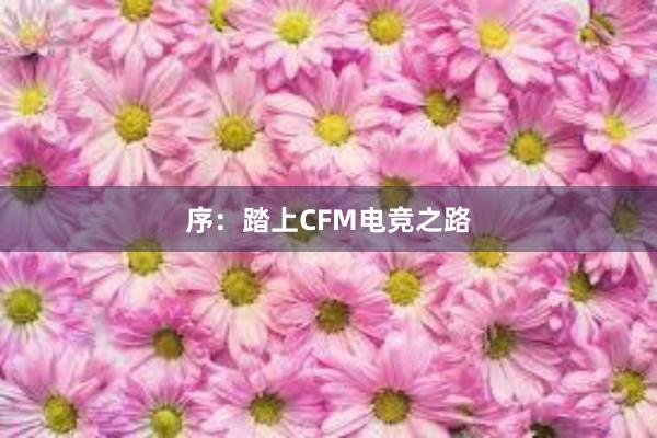 序：踏上CFM电竞之路