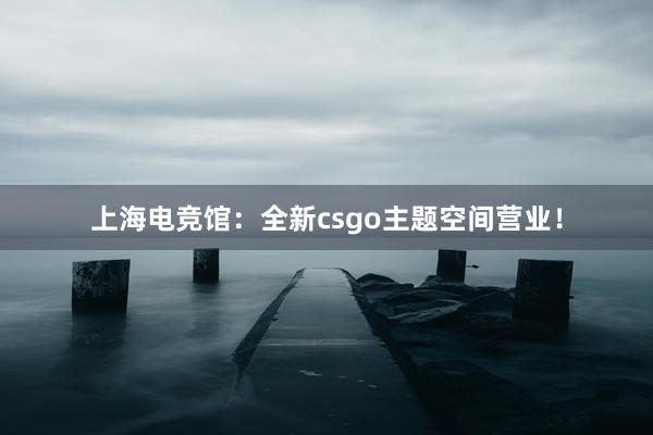 上海电竞馆：全新csgo主题空间营业！