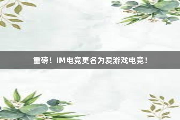 重磅！IM电竞更名为爱游戏电竞！