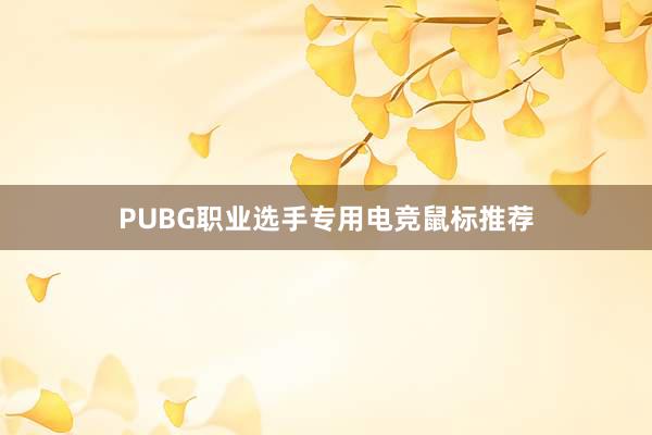 PUBG职业选手专用电竞鼠标推荐