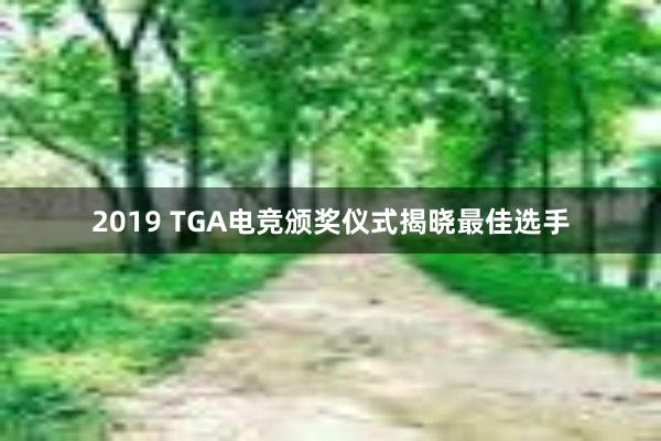 2019 TGA电竞颁奖仪式揭晓最佳选手