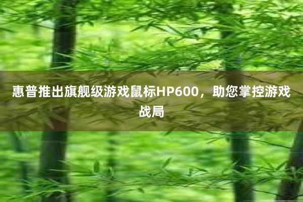 惠普推出旗舰级游戏鼠标HP600，助您掌控游戏战局