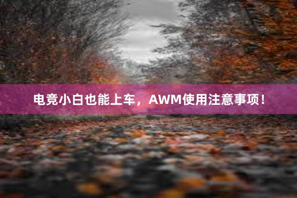 电竞小白也能上车，AWM使用注意事项！