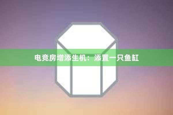 电竞房增添生机：添置一只鱼缸