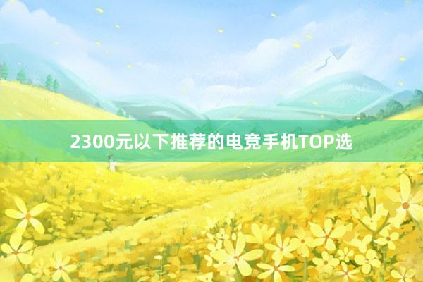 2300元以下推荐的电竞手机TOP选