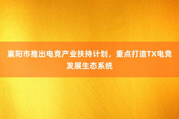 襄阳市推出电竞产业扶持计划，重点打造TX电竞发展生态系统