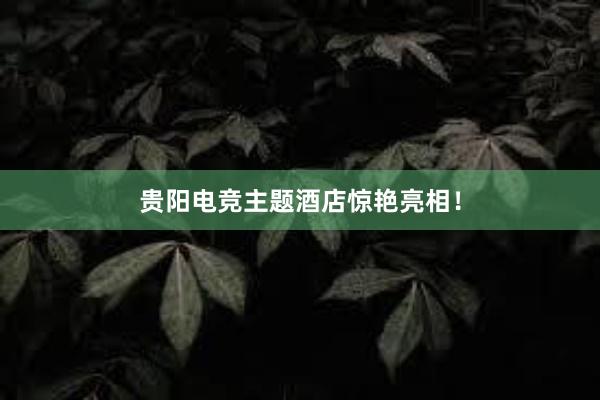 贵阳电竞主题酒店惊艳亮相！